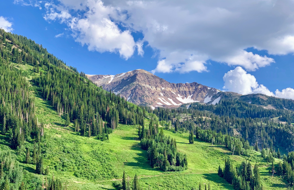 salt lake city home services